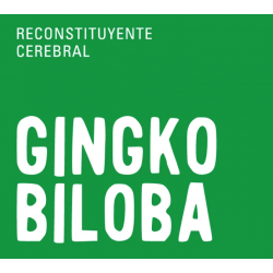 GINGKO BILOBA 30g TERRA VERDE